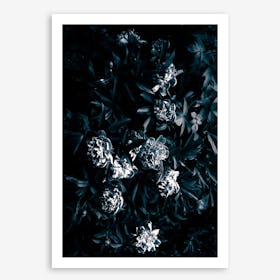 Florals Afterdark In Art Print