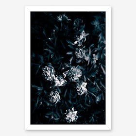 Florals Afterdark Art Print