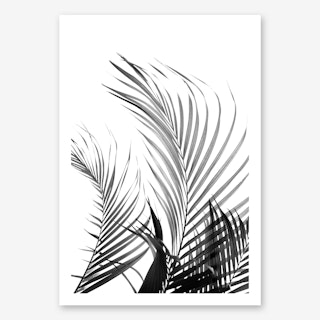 Palm Fronds in Black & White Art Print