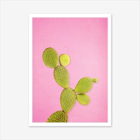 Cactus #2 Art Print