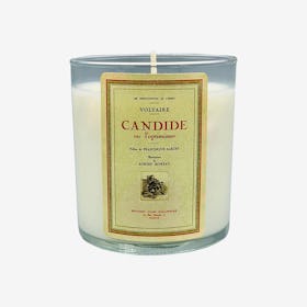 Voltaire - Literary Scented Candle