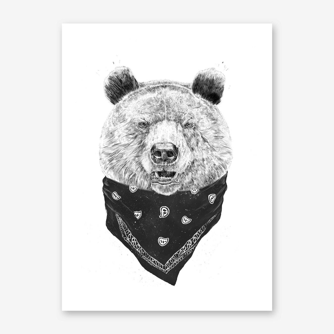 Wild bear перевод. Футболка медведь. Хоккейная майка медведи. Медведь картинка. Майка молодёжка медведи.