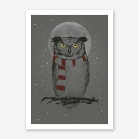 Winter Owl Art Print