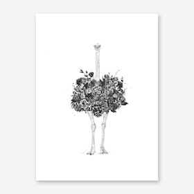 Floral Ostrich Line Art Print
