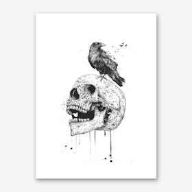 New skull (bw) Art Print