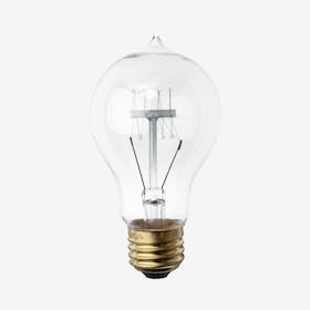 A19 Light Bulb - Clear