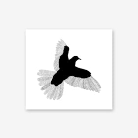 Bird On White Art Print