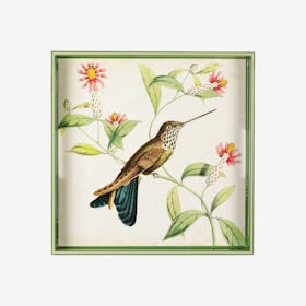 Hummingbird Square Tray