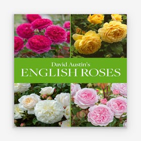 David Austin's English Roses Book