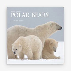 Polar Bears - Photography Book