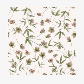 Hellebores Wallpaper - Pink