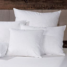 Down Pillow Insert - White