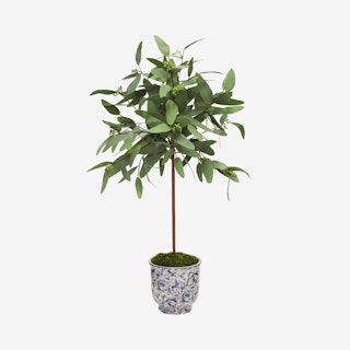 Artificial Green Long Eucalyptus in Ceramic Cachepot