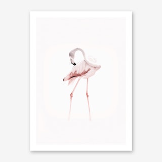 Pink Toned Flamingo Art Print