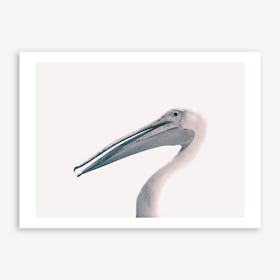 Toned Photograph Of A Pelican Art Print