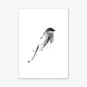 Birdy 3 Art Print