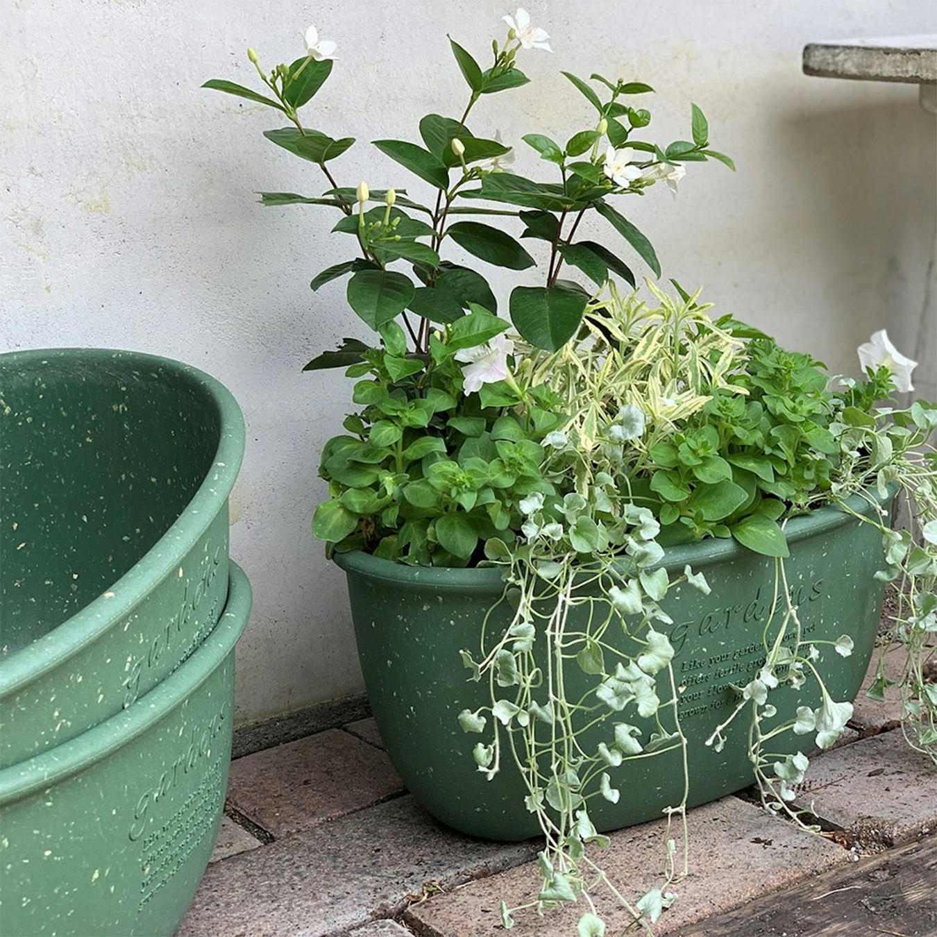Garden Pot Hanging Style - Green by Hachiman Gardens