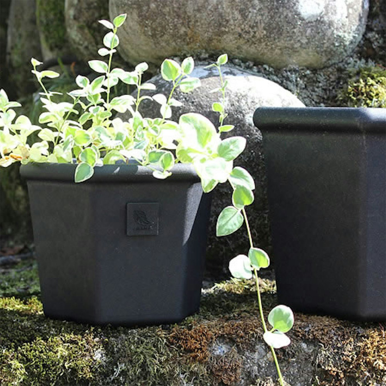 Garden Pot Hexagon - Black by Hachiman Gardens