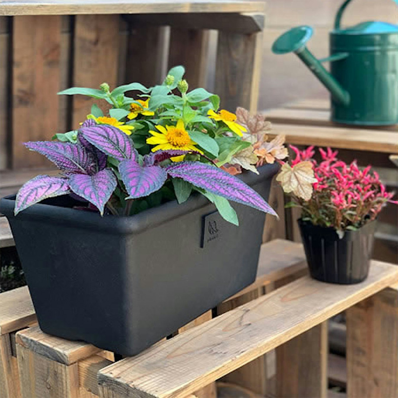 Garden Planter Square - Black by Hachiman Gardens