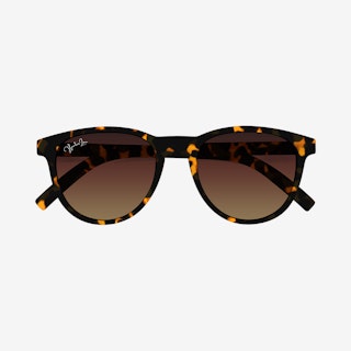 Classic Tortoise Polarized Sunglasses