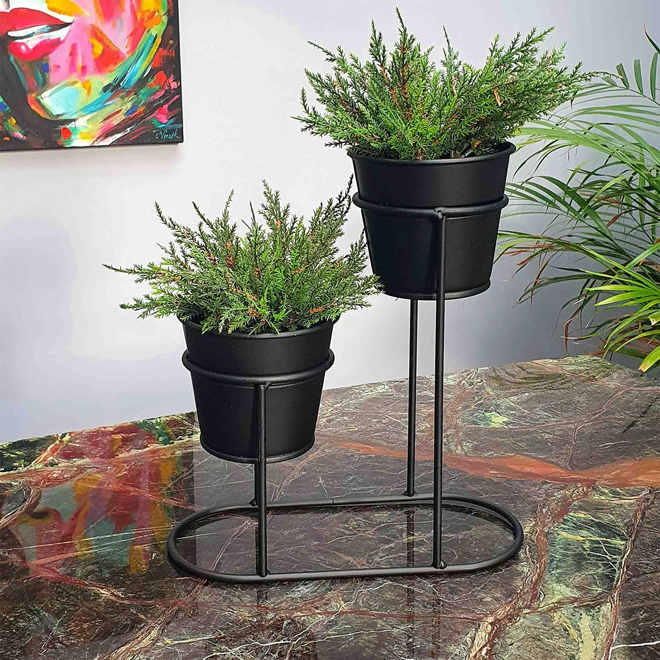2 in1 Succulent Plant Pot - Black by Rozi UK