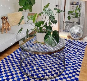 Moroccan Berber Checkered Rug w/Fringes - Dark Blue/White