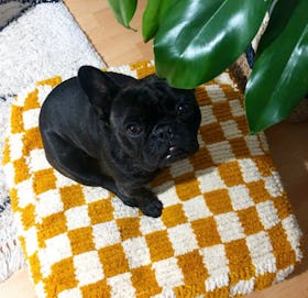 Moroccan Berber Checkered Pouf - Orange/Cream