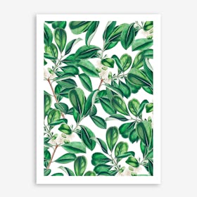 Botanica In Art Print