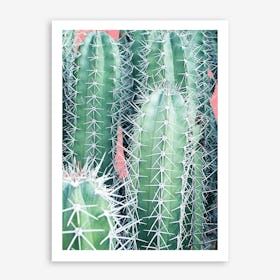 Cactus Up Close In Art Print