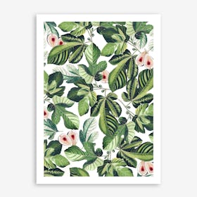 Fig Garden In Art Print