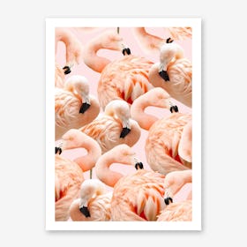 Flamingo Blush In Art Print