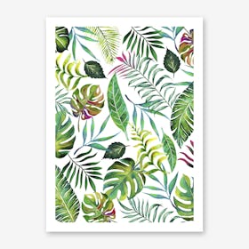 Tropical Flora Art Print