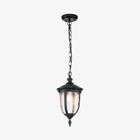 Cleveland 1-Light Chain Lantern - Weathered Bronze