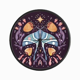 Night Blue Moth On Floral Purple Background And Decoration Clock