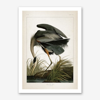 Vintage Audubon 1 Great Blue Heron Art Print