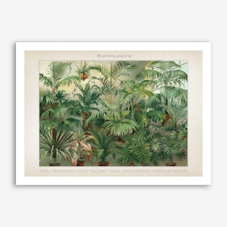 Vintage Meyers 5 Blattpflanzen 3 Art Print