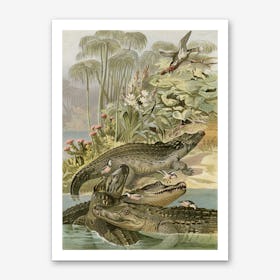 Vintage Brehm 1 Krokodil Art Print