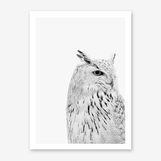 Owl Art Print