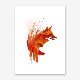 Plattensee Fox Art Print