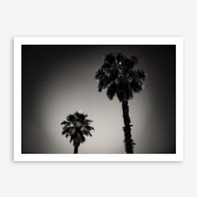 Why Are Palm Trees So Damn Happy Art Print