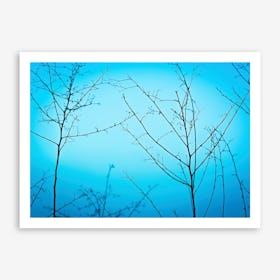 Twilight In The Outdoors Art Print