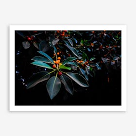 Orange, Green And Dark Art Print