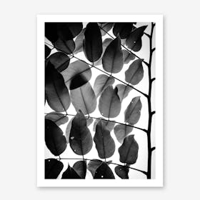 Branches And Leaves I Art Print By Tal Paz-Fridman