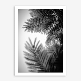 Natural Geometries V Art Print