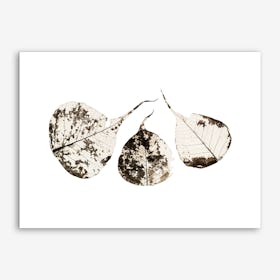 Fallen Leaves #1 Art Print
