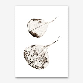 Fallen Leaves #2 Art Print