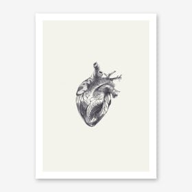 Heart Illustration Art Print