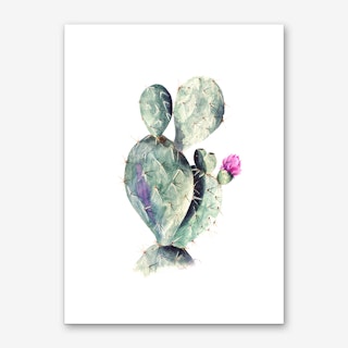 Cactus Art Print