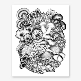 A Medley Of Mushrooms Art Print