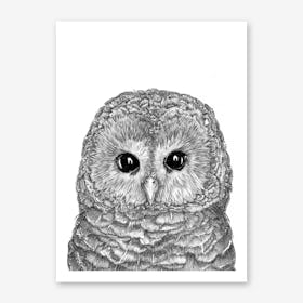 Tiny Owl Art Print